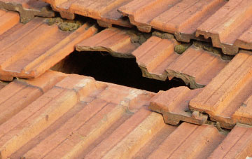 roof repair Spindlestone, Northumberland